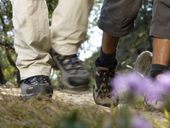 Wanderhighlights im Juli